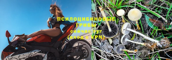 apvp Богородицк