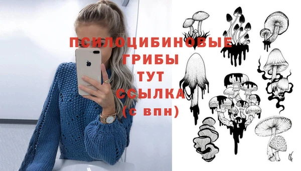 амфетамин Богородск