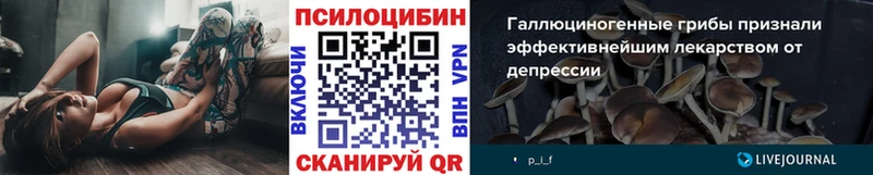 Галлюциногенные грибы GOLDEN TEACHER  Верхний Тагил 